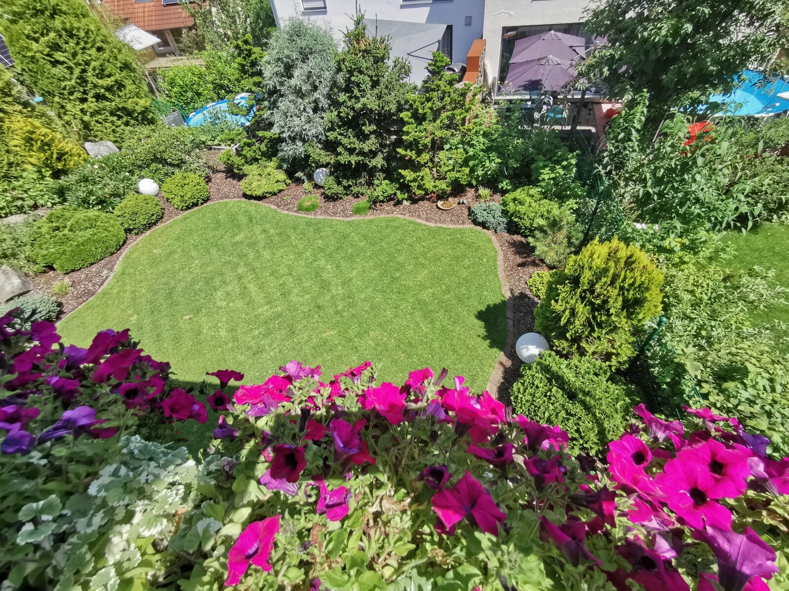 Blick in den herrlich eingewachsenen Garten