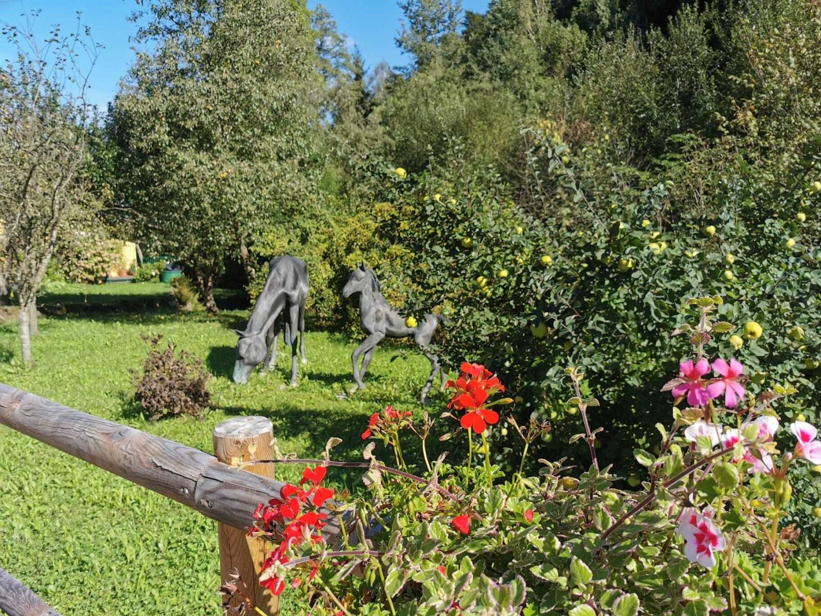 Wilkommen am einzigartigen Pferdehof